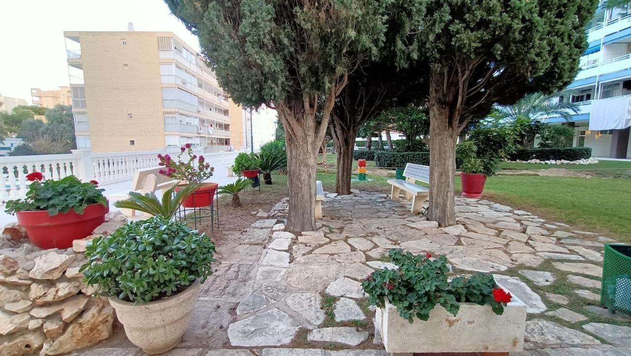 Apartament Apartamento Antonio De Alacant Aaa Alicante Zewnętrze zdjęcie